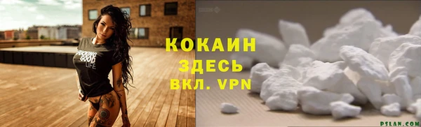 трава Аркадак
