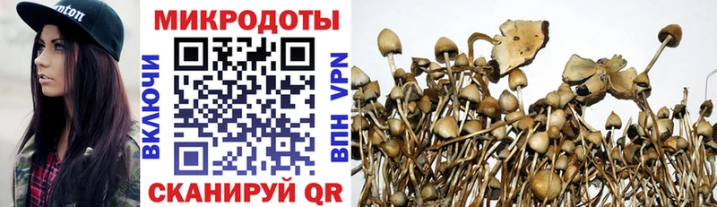 как найти закладки  Новотроицк  Галлюциногенные грибы Psilocybe 